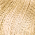№613 - светлый блонд золотистый